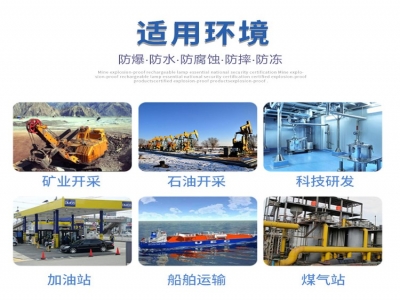 固定式氣體探測(cè)器